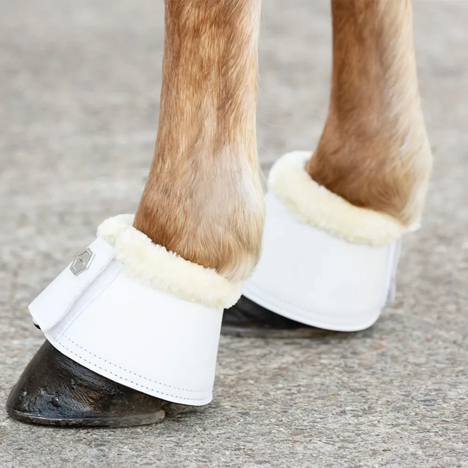 product Image for Coldstream Bowden Over Reach Boots (Pack of 2) White