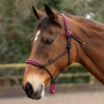 Hy Equestrian Double Braid Rope Halter Cob/Full Pink