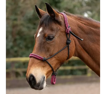 Hy Equestrian Double Braid Rope Halter Cob/Full Pink