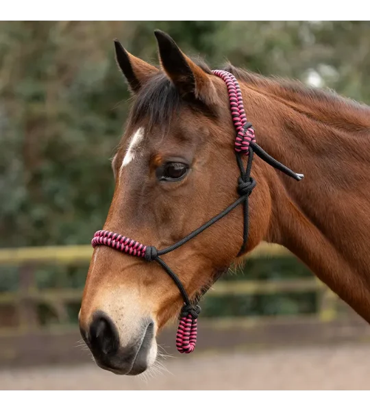 Hy Equestrian Double Braid Rope Halter Cob/Full Pink