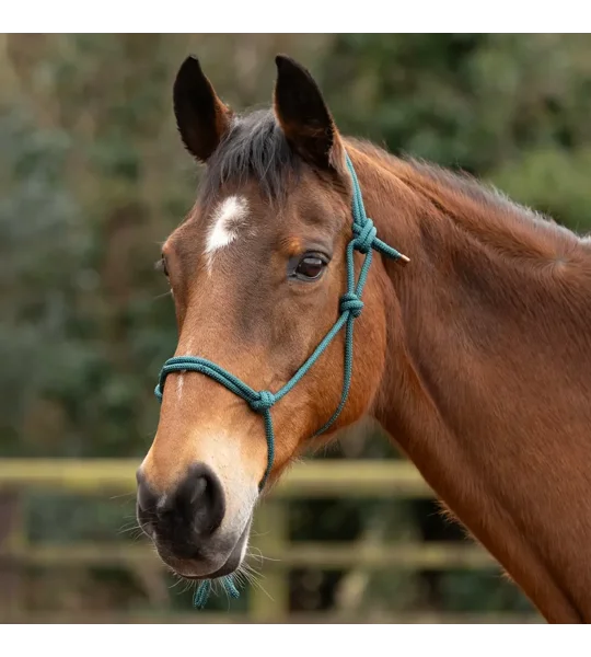Hy Equestrian Rope Halter