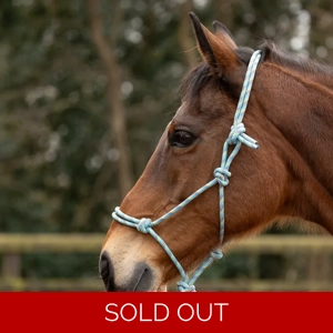 Hy Equestrian Rope Halter - Thick Cob/Full Green Multi