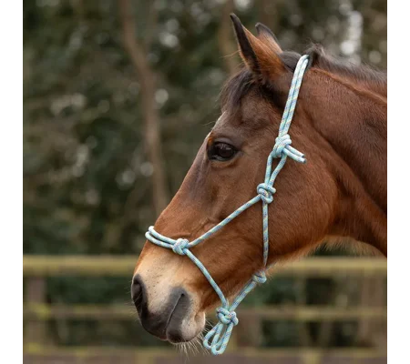 Hy Equestrian Rope Halter - Thick Cob/Full Green Multi
