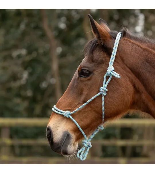 Hy Equestrian Rope Halter - Thick Cob/Full Green Multi