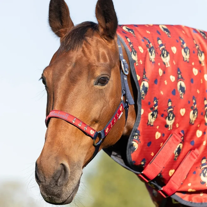 Additional Image for Hy Equestrian Thelwell Collection Balancing Act Head Collar & Lead Rope