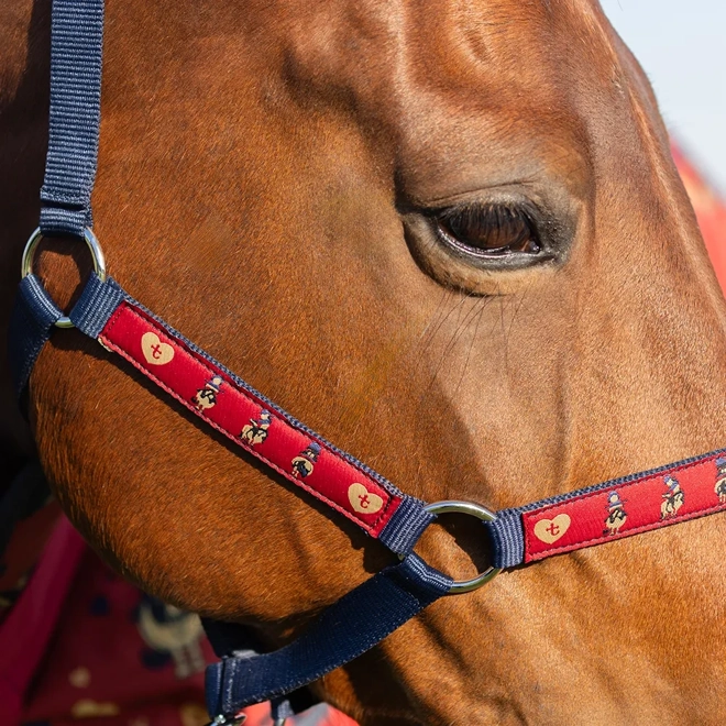 Additional Image for Hy Equestrian Thelwell Collection Balancing Act Head Collar & Lead Rope
