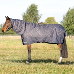 StormX Original Country 200 Combi Turnout Rug