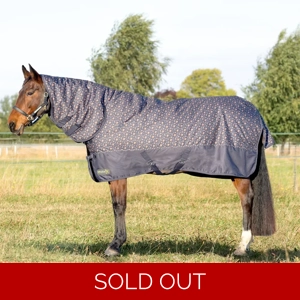 StormX Original Country 200 Combi Turnout Rug