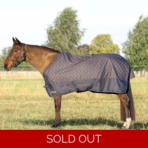 StormX Original Country 100 Turnout Rug
