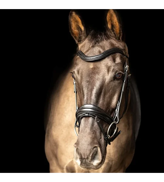ProPresicce Pelle Crank Leather Bridle by Hy Equestrian Black/Silver Hardware