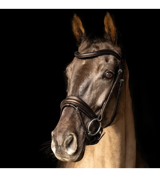 ProPresicce Pelle Crank Leather Bridle by Hy Equestrian Brown/Silver Hardware