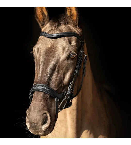 ProPresicce Pelle Drop Leather Bridle by Hy Equestrian Black/Silver Hardware