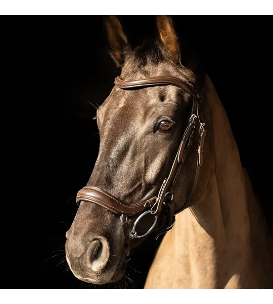 ProPresicce Pelle Drop Leather Bridle by Hy Equestrian Brown/Silver Hardware