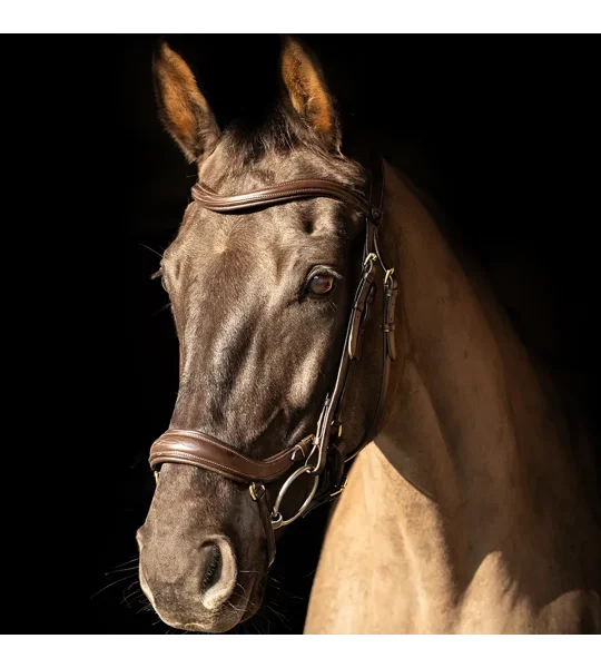 ProPresicce Pelle Drop Leather Bridle by Hy Equestrian Brown/Brass Hardware