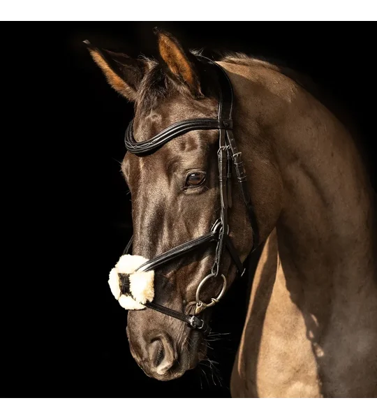 ProPresicce Pelle Grackle Leather Bridle by Hy Equestrian Black/Silver Hardware