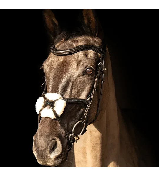 ProPresicce Pelle Grackle Leather Bridle by Hy Equestrian Brown/Silver Hardware