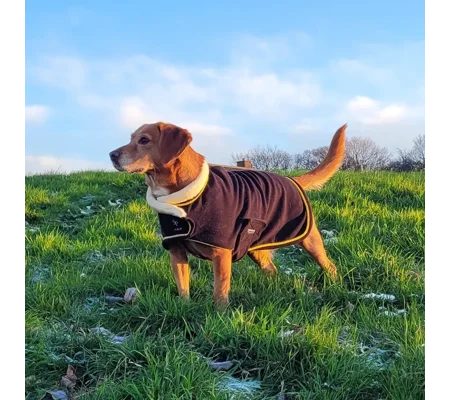 Supreme Products Royal Occasion Fleece Dog Coat