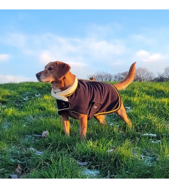 Supreme Products Royal Occasion Fleece Dog Coat