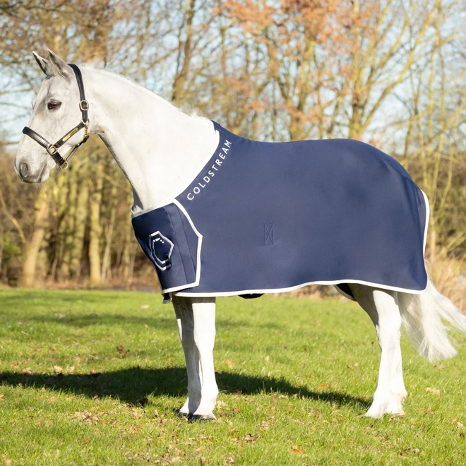 product Image for Coldstream Newton Show Sheet Navy