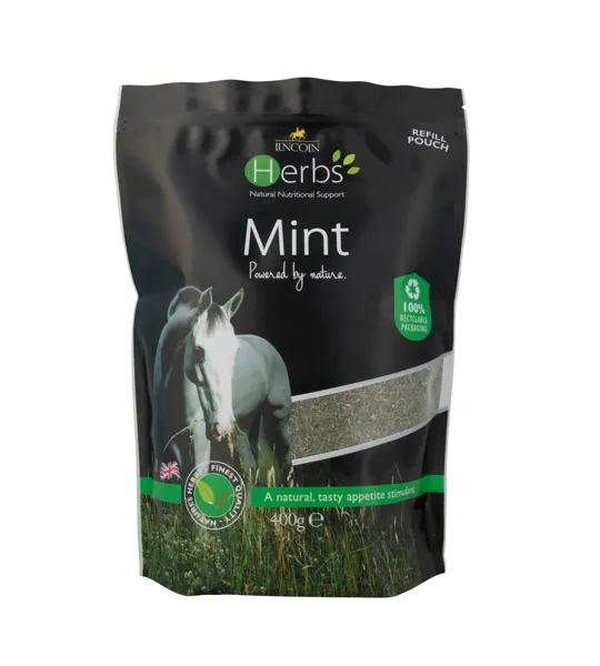 Lincoln Herbs Mint - 600g