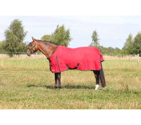 HyCONIC 200g Turnout Rug Red