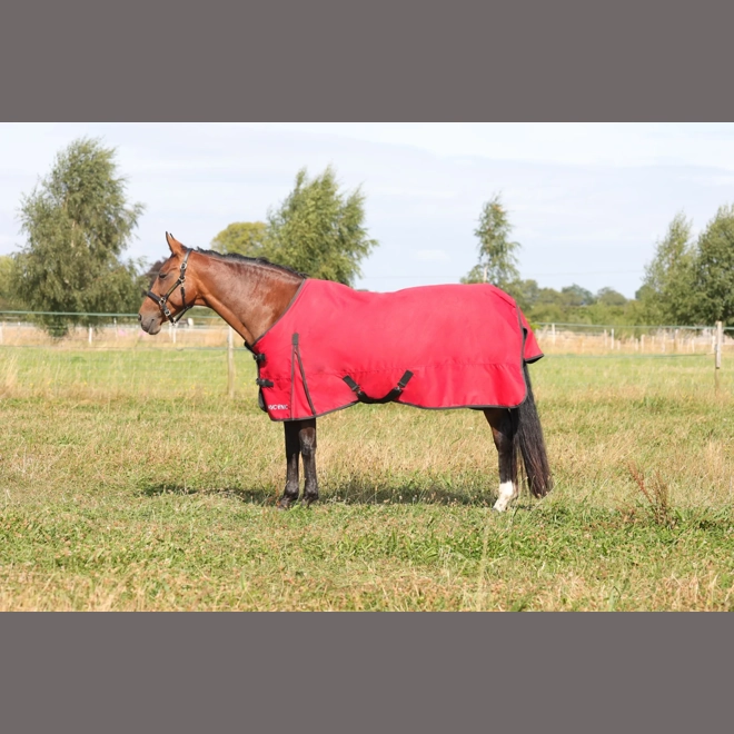 product Image for HyCONIC 200g Turnout Rug Red
