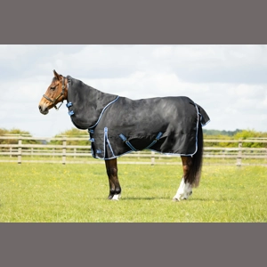 StormX Empra Extra 200g Turnout Rug with Detachable Neck