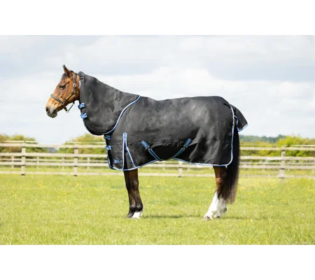 StormX Empra Extra 200g Turnout Rug with Detachable Neck