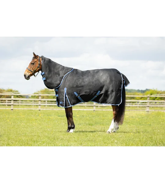 StormX Empra Extra 200g Turnout Rug with Detachable Neck