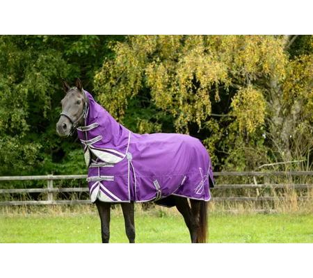 DefenceX Shield 0g Turnout Rug with Detachable Neck