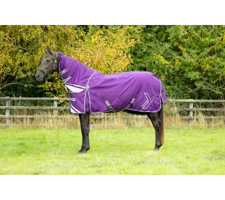 DefenceX Shield 100g Turnout Rug with Detachable Neck Purple