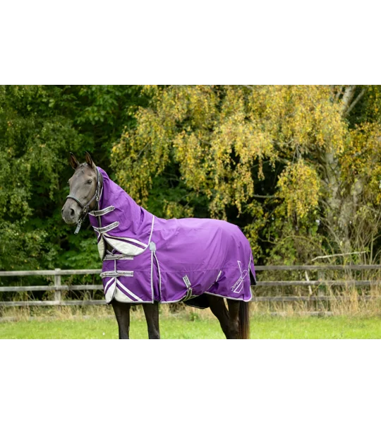 DefenceX Shield 100g Turnout Rug with Detachable Neck Purple