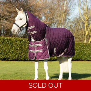 DefenceX Shield 300g Stable Rug with Detachable Neck Purple