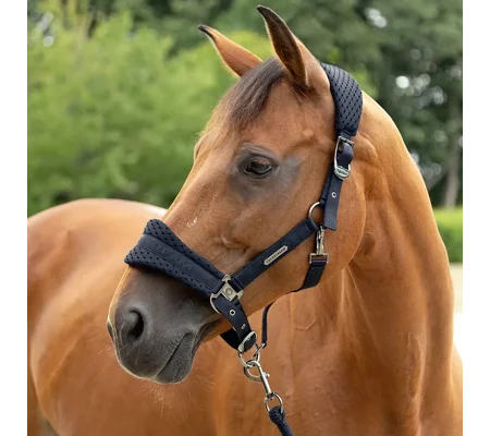 Coldstream Middleton Air Flow Head Collar & Lead Rope Black