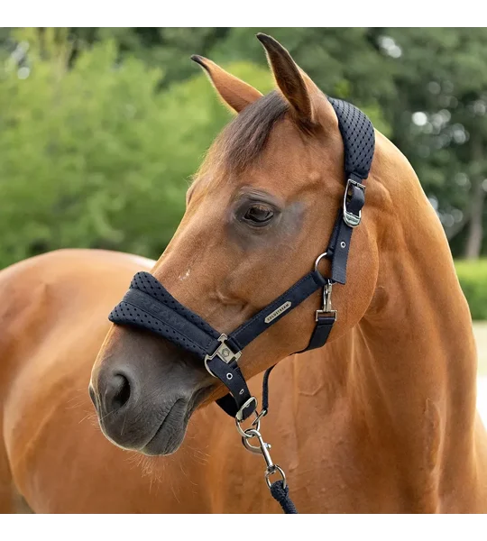 Coldstream Middleton Air Flow Head Collar & Lead Rope Black