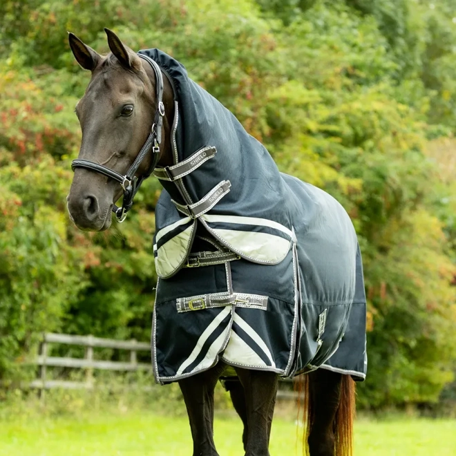 product Image for DefenceX Shield 200g Turnout Rug with Detachable Neck Navy