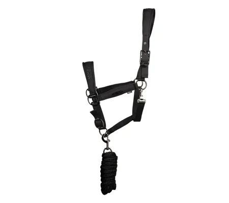 Coldstream Paxton Padded Head Collar & Lead Rope Black