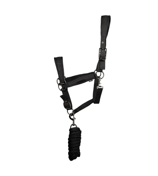 Coldstream Paxton Padded Head Collar & Lead Rope Black