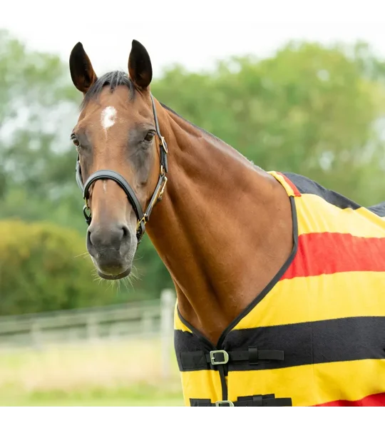 StormX Empra Newmarket Fleece Rug Yellow/Red/Black
