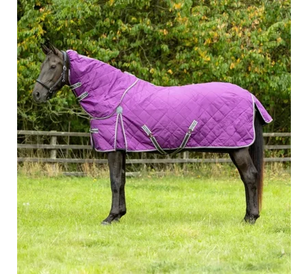 DefenceX Shield 300g Stable Rug with Detachable Neck Purple