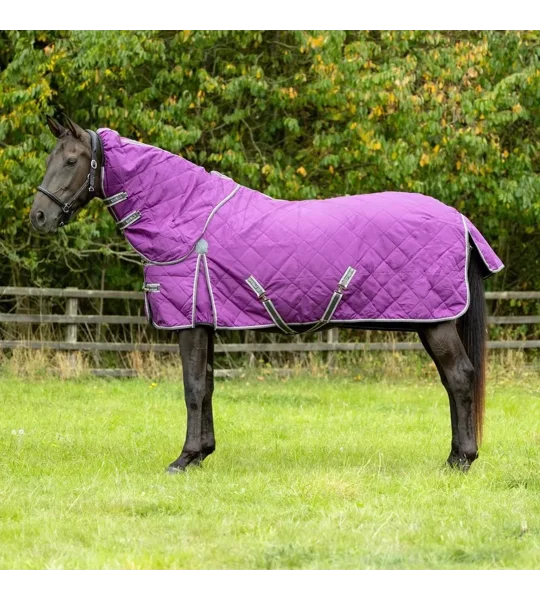 DefenceX Shield 300g Stable Rug with Detachable Neck Purple