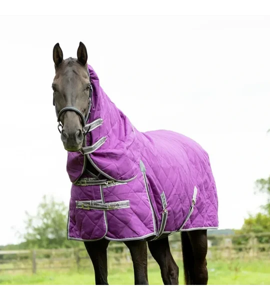 DefenceX Shield 300g Stable Rug with Detachable Neck Purple