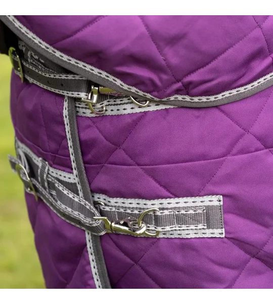 DefenceX Shield 300g Stable Rug with Detachable Neck Purple