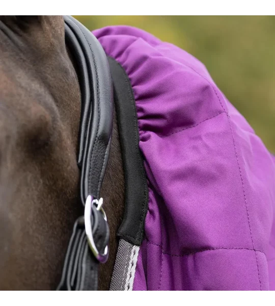 DefenceX Shield 300g Stable Rug with Detachable Neck Purple