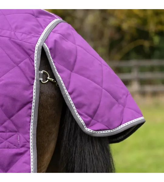 DefenceX Shield 300g Stable Rug with Detachable Neck Purple