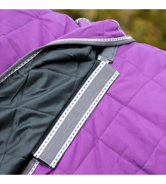 DefenceX Shield 300g Stable Rug with Detachable Neck Purple