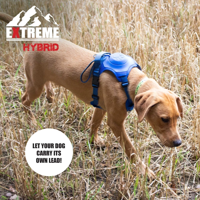 Additional Image for Ancol Extreme Hybrid Harness Aqua Blue