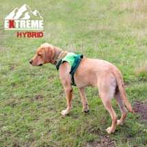 Ancol Extreme Hybrid Harness Field Green