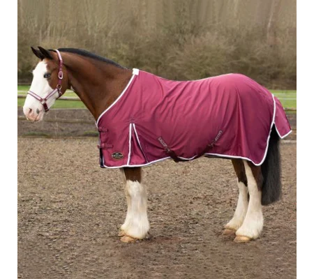 Gallop Summer Sheet Burgundy