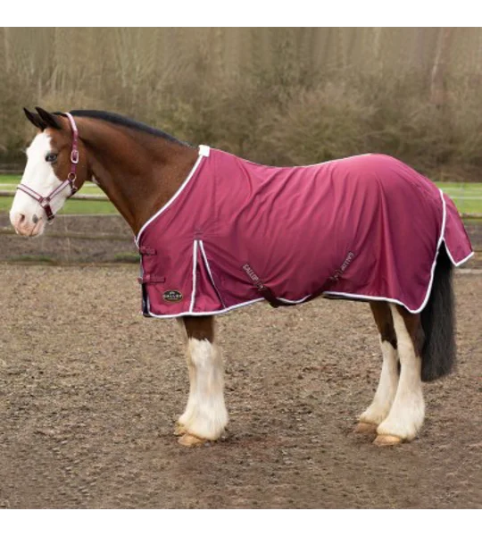 Gallop Summer Sheet Burgundy